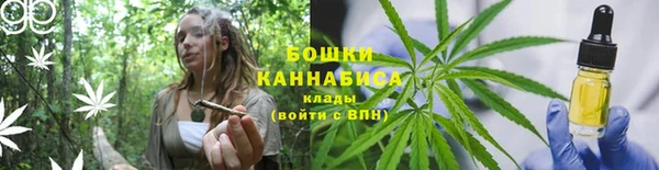 каннабис Аркадак