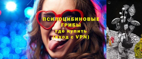 бошки Рославль
